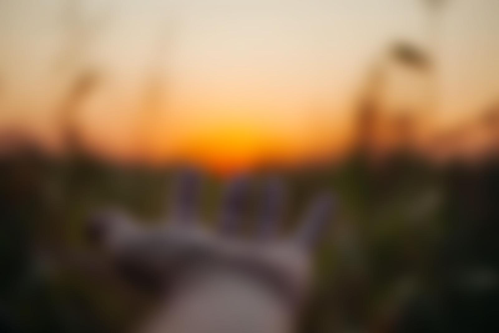 Restore Hope South West | Charici