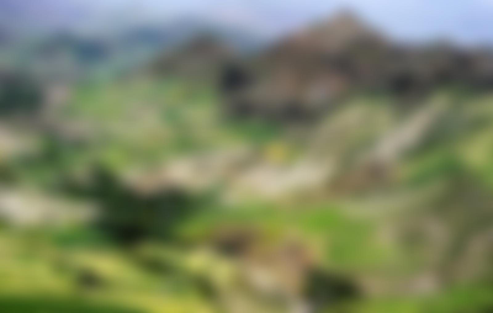 Ethiopia Education Aid | Charici