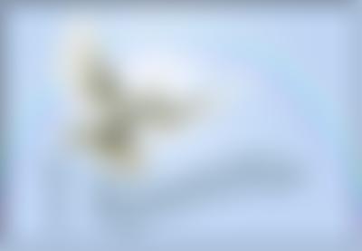 Corfe Mullen Baptist Church Charity | Charici