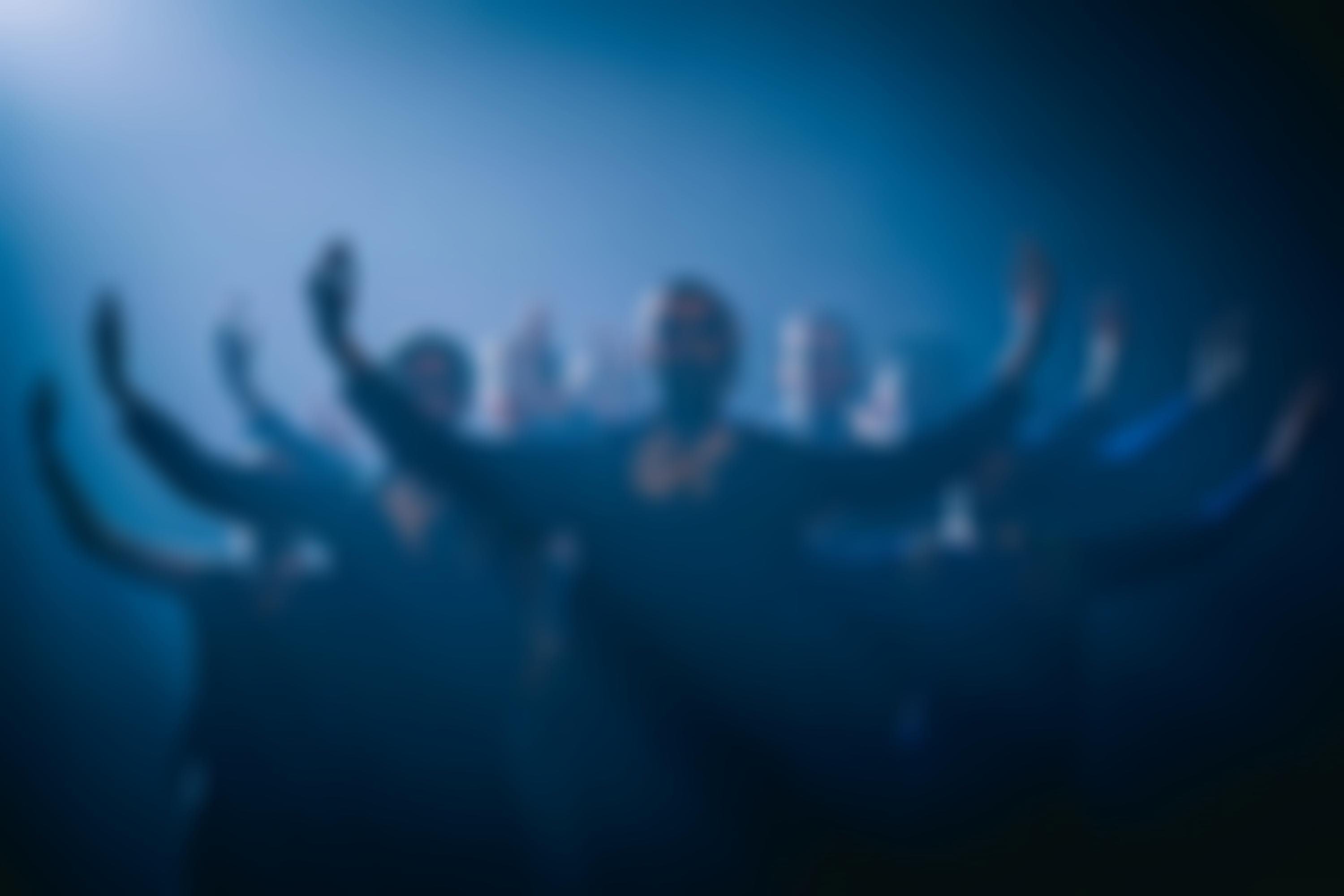 Hofesh Shechter Company Ltd | Charici