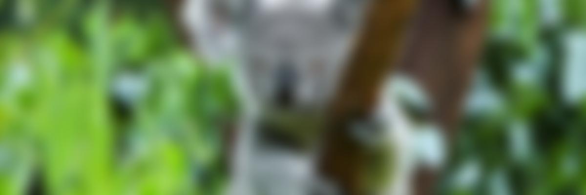 The Wexas Travel Foundation | Charici