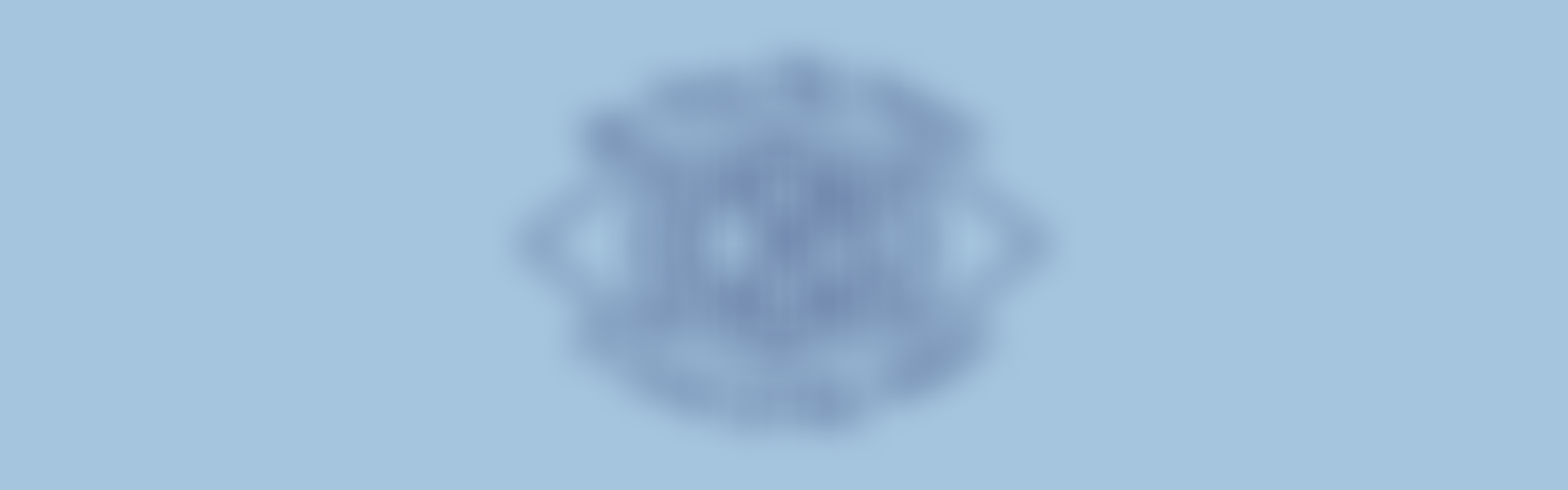 Catholic Blind Services | Charici
