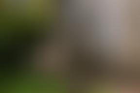 The Parochial Church Council Of The Ecclesiastical Parish Of St. James, Shirley, Southampton | Charici