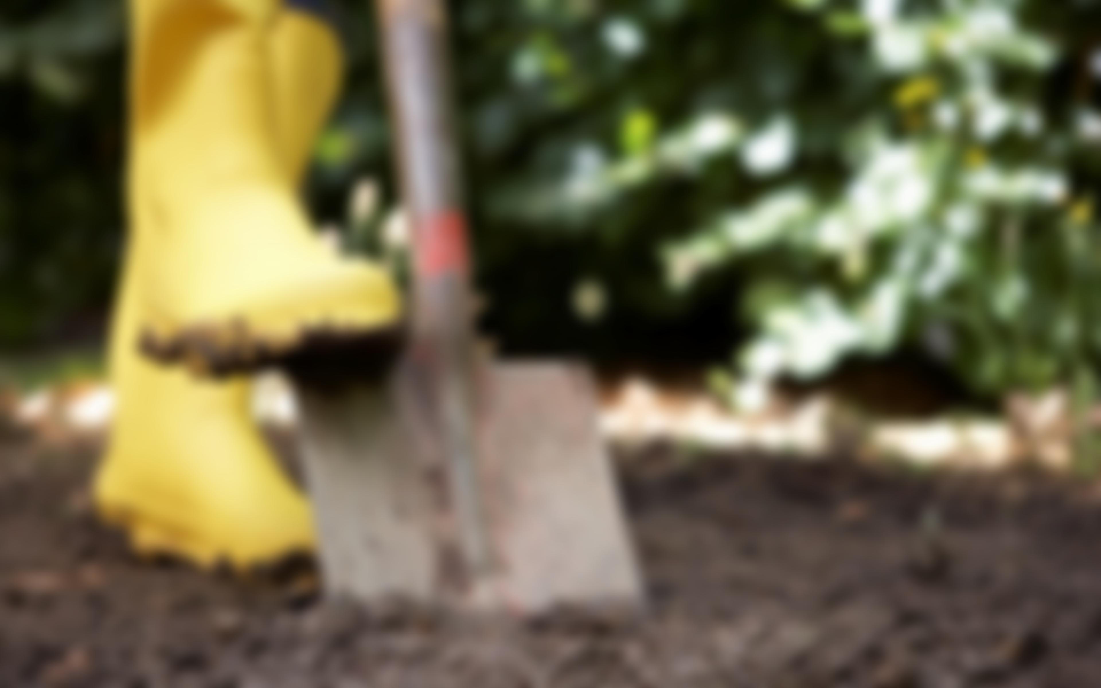 Oak Hill Community Nursery | Charici