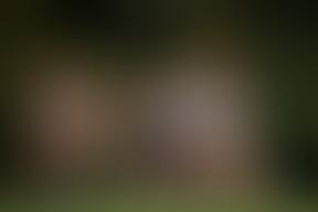 Hackney Rugby Football Club Limited | Charici