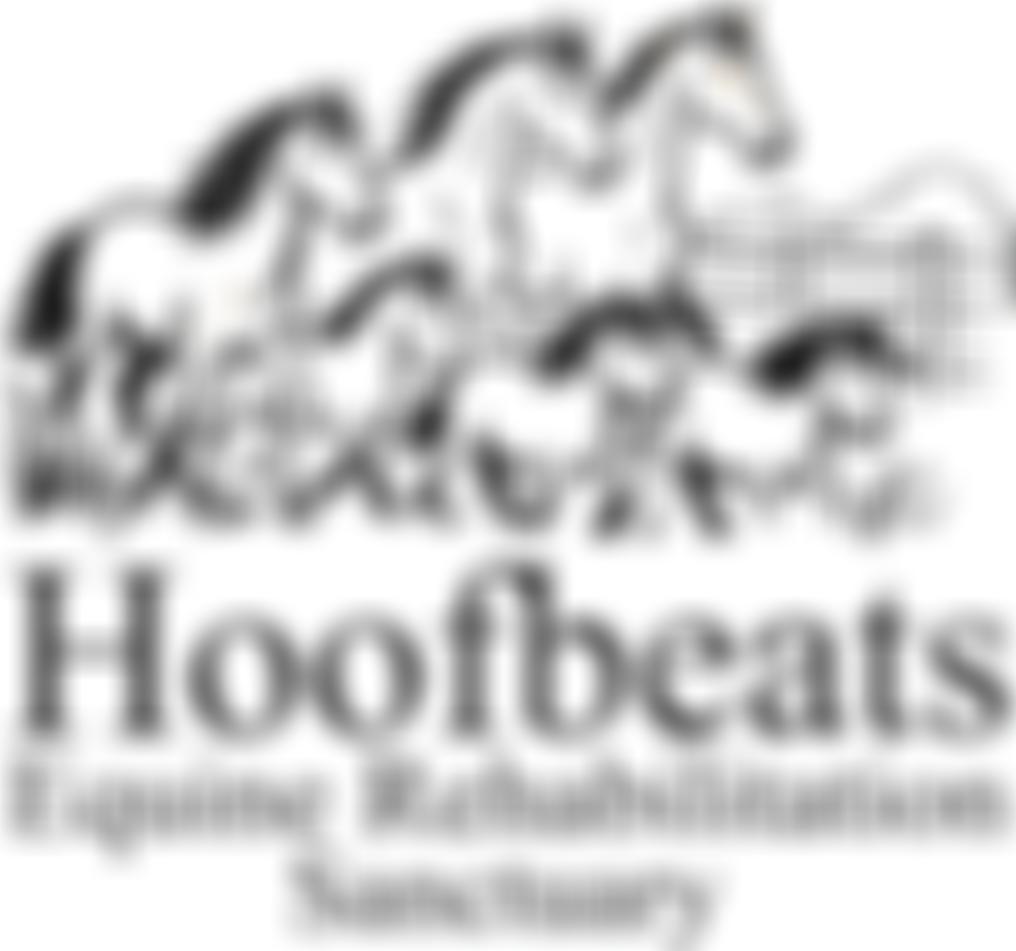Hoofbeats Equine Rehabilitation Sanctuary | Charici