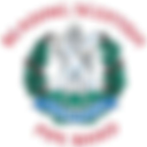 Reading Scottish Pipe Band | Charici