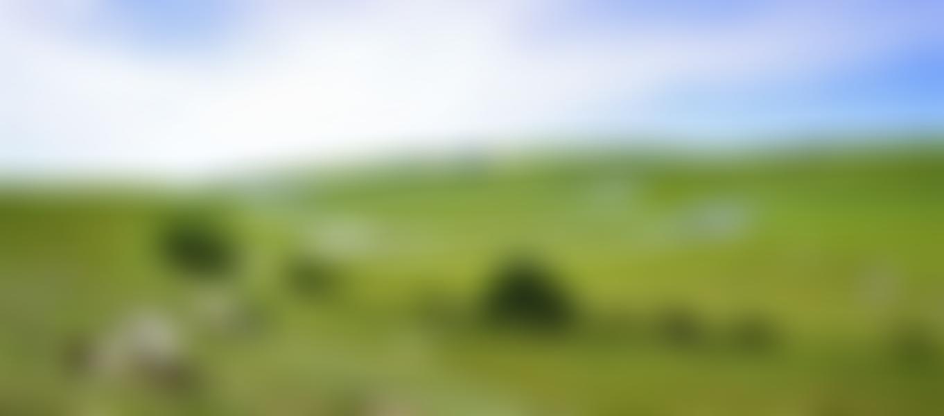 Central Sussex United Area | Charici