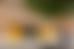 The Mustard Tree | Charici