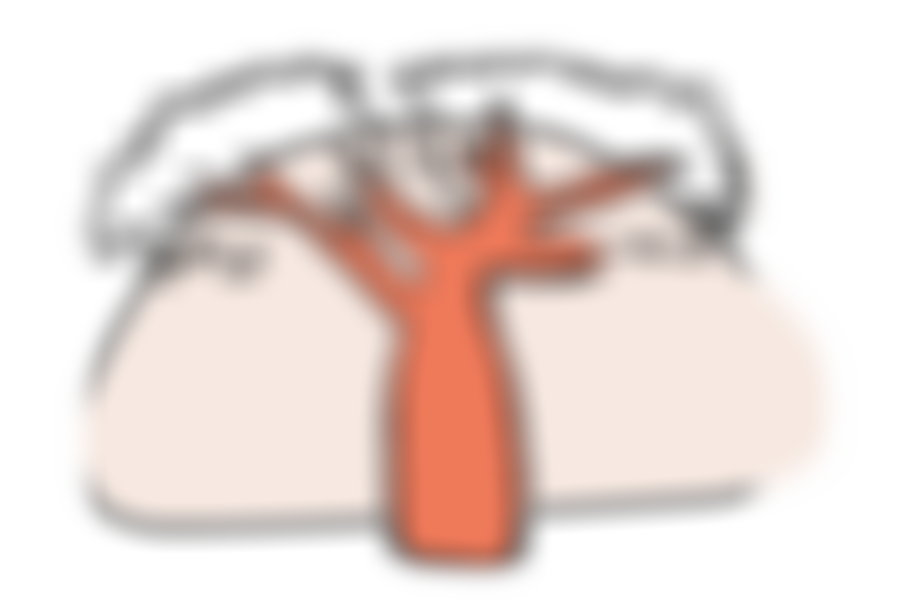 Baobab Centre For Young Survivors In Exile | Charici