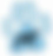 Bristol Dog Action Welfare Group | Charici