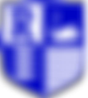 River Primary School Parent, Teacher And Friends Association (Ptfa) | Charici