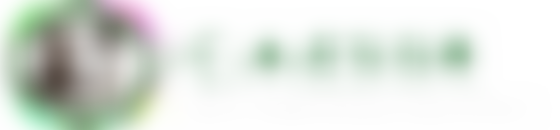 Cocker And English Springer Spaniel Rescue (Caessr) | Charici