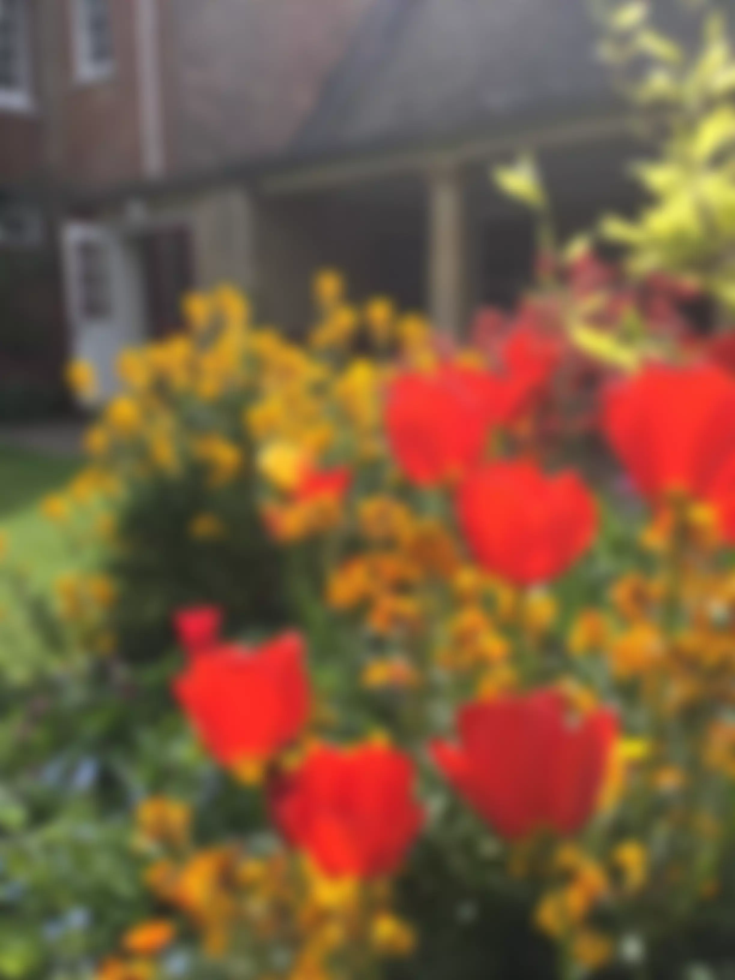 Oxford And Swindon Area Quaker Meeting Of The Religious Society Of Friends (Quakers) In Britain | Charici