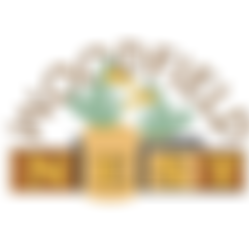 Woodfield Nest Pre-School And Out Of School Club | Charici