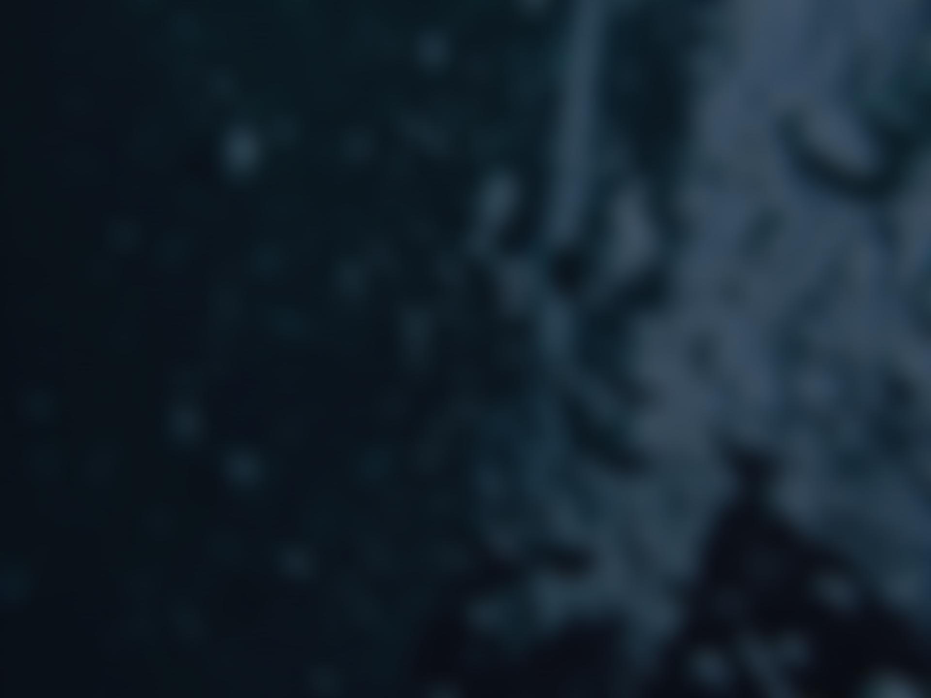 P2I Charitable Trust | Charici