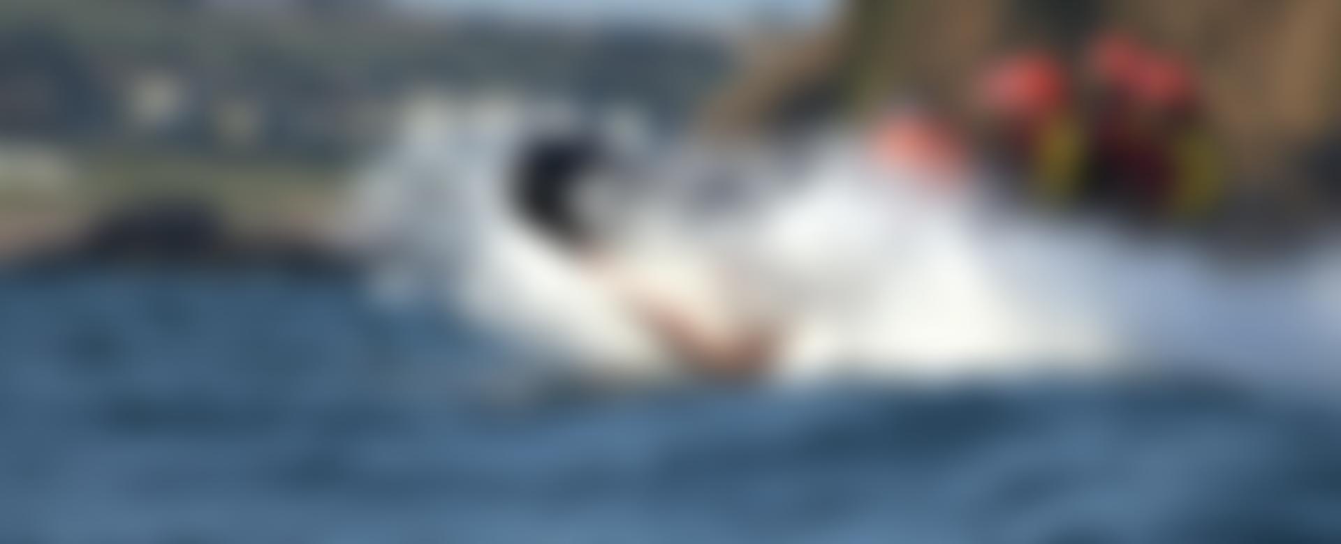 Hope Cove Life Boat | Charici