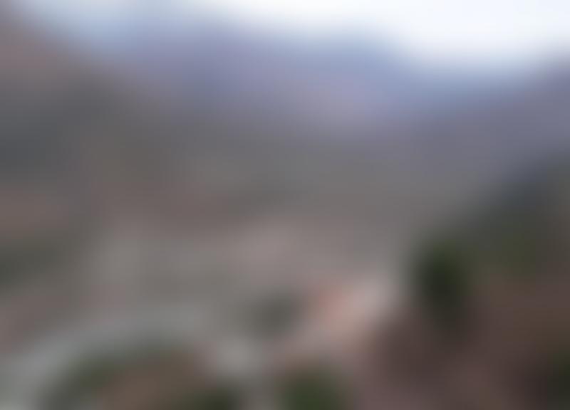 Tayyib Foundation | Charici