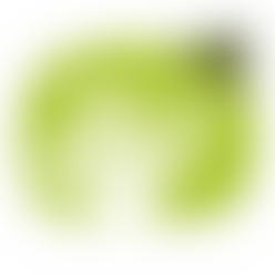 Torbay Community Development Trust Ltd | Charici