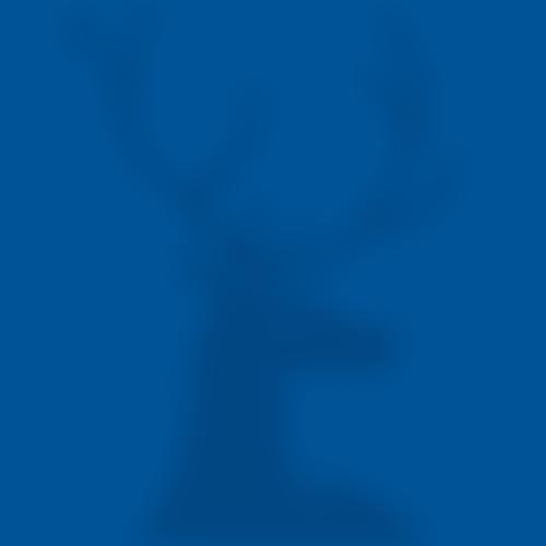 Grey Court Education Fund | Charici