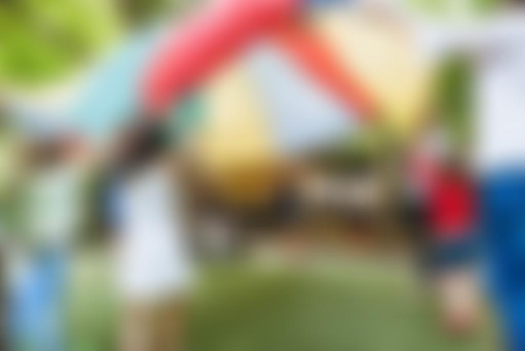 Brook Green Nursery Ltd | Charici