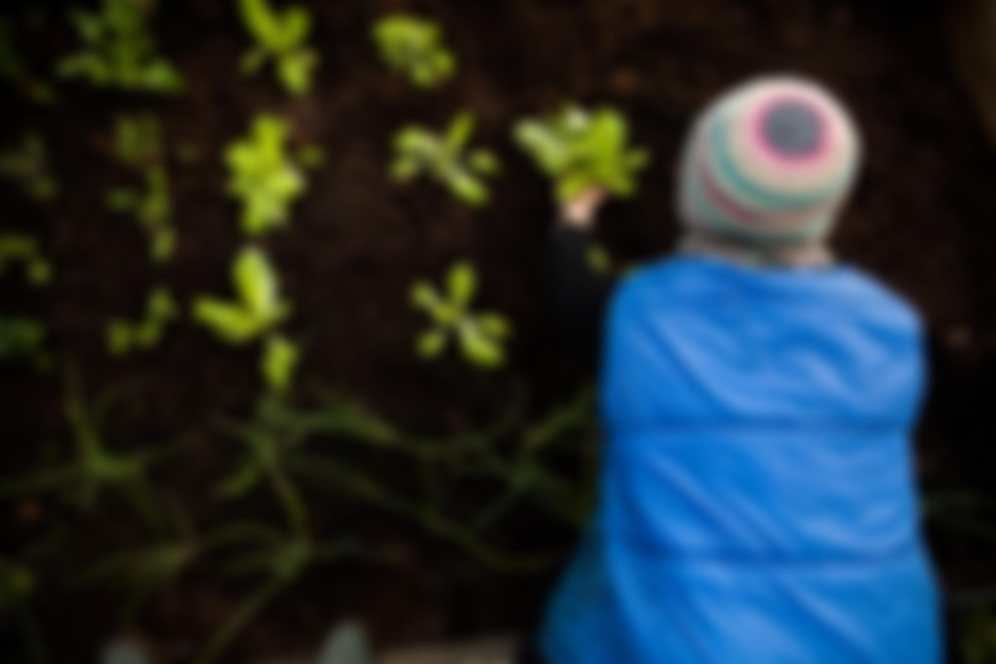 Ouseburn Farm Charity Limited | Charici