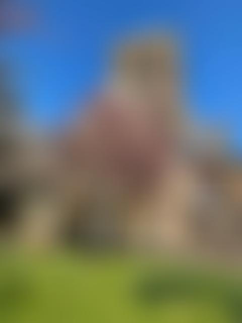 The Parochial Church Council Of The Ecclesiastical Parish Of St Bees | Charici