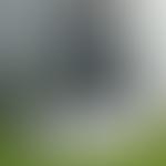 The Public Arts Trust, Milton Keynes Limited | Charici