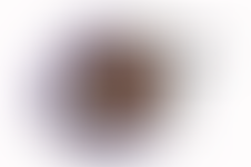 The Constance Fairness Foundation | Charici