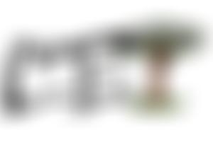 Community Environmental Trust | Charici