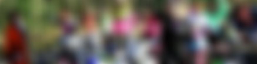 The Windlesham Pram Race | Charici