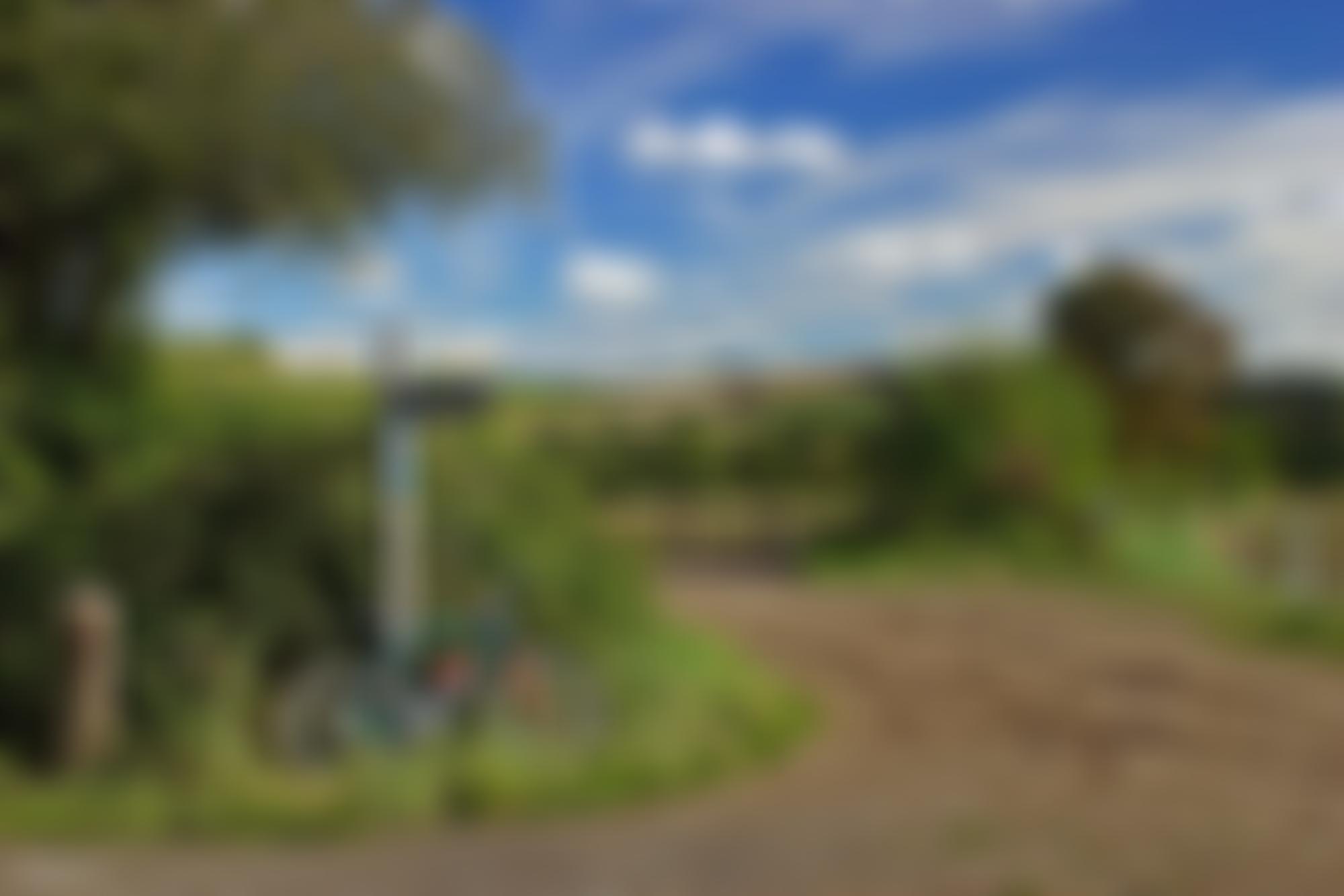 North Dorset Trailway Network | Charici