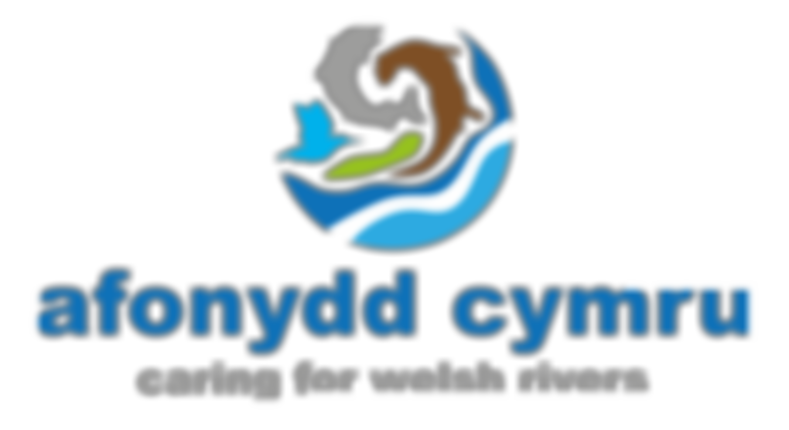 Afonydd Cymru Cyfyngedig | Charici