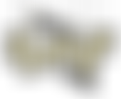 Norwich Puppet Theatre Trust Limited | Charici