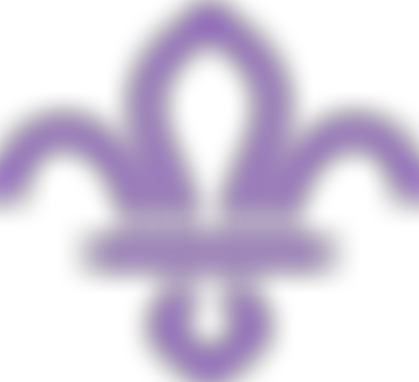 Wandsworth District Scout Council | Charici