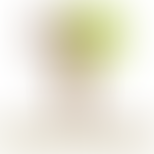 Kwes Kent Woodland Employment Scheme | Charici