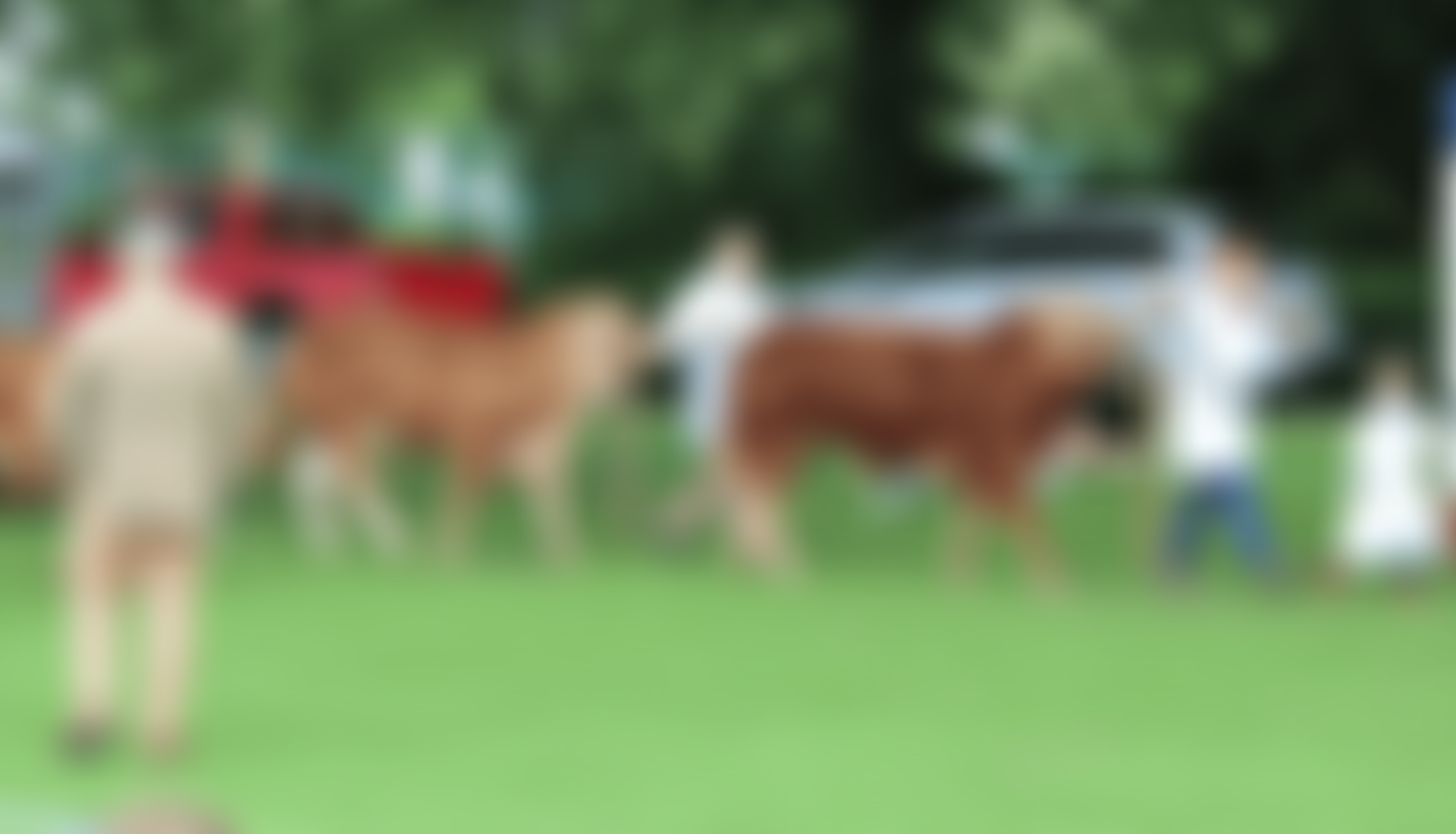 Howden Agriculture And Horticulture Show Limited | Charici