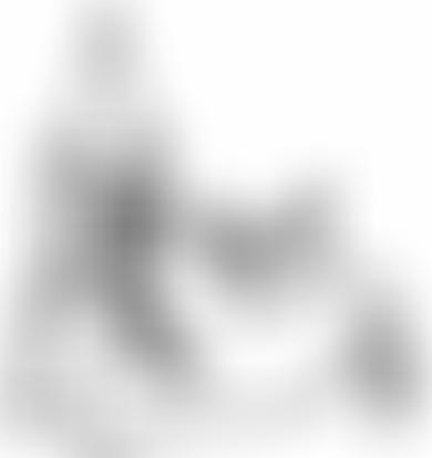The Parochial Church Council Of The Ecclesiastical Parish Of Christ Church Walshaw | Charici