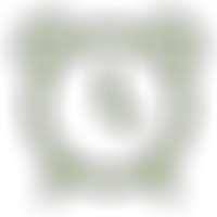 Action Tutoring | Charici