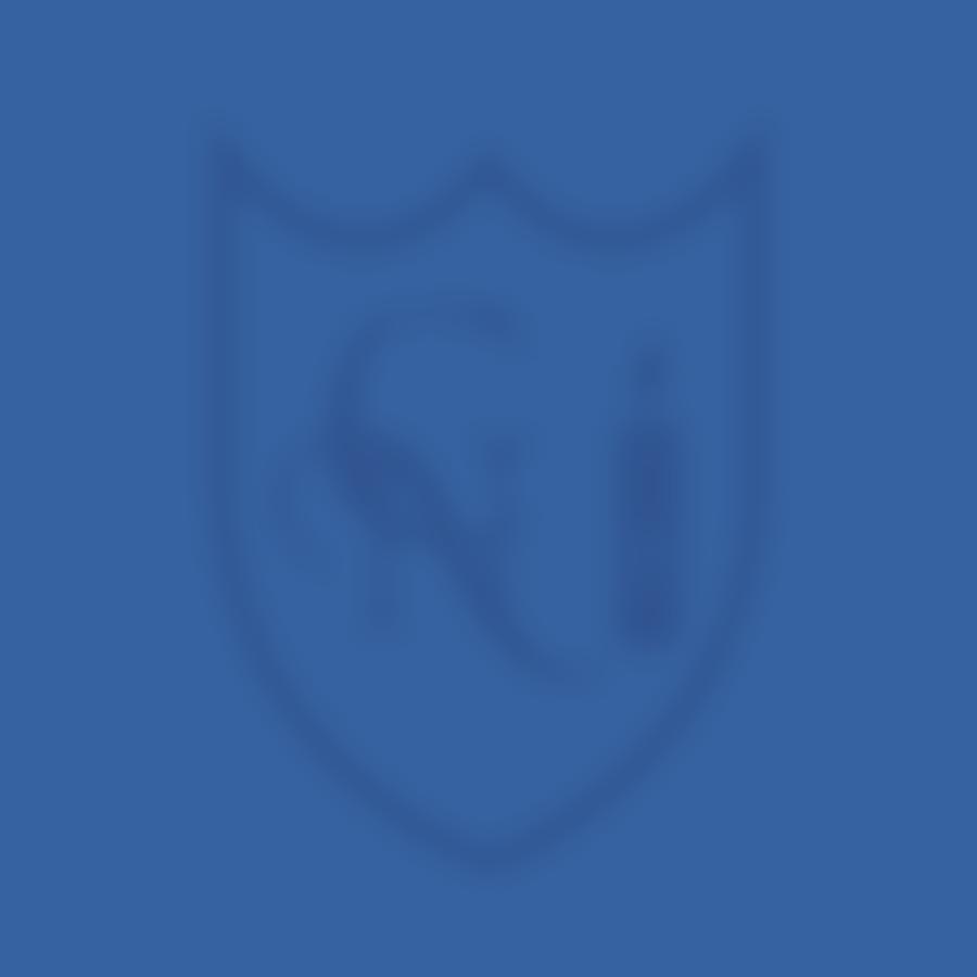 Cardinal Newman Pa | Charici