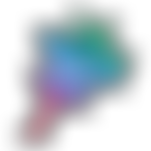 Sheffield Flourish | Charici