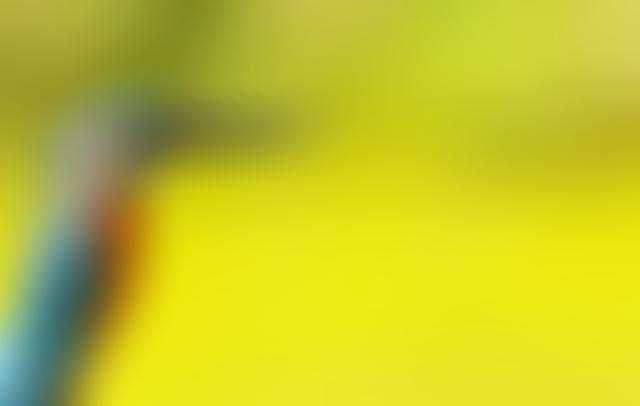 Western Sussex Rivers Trust | Charici