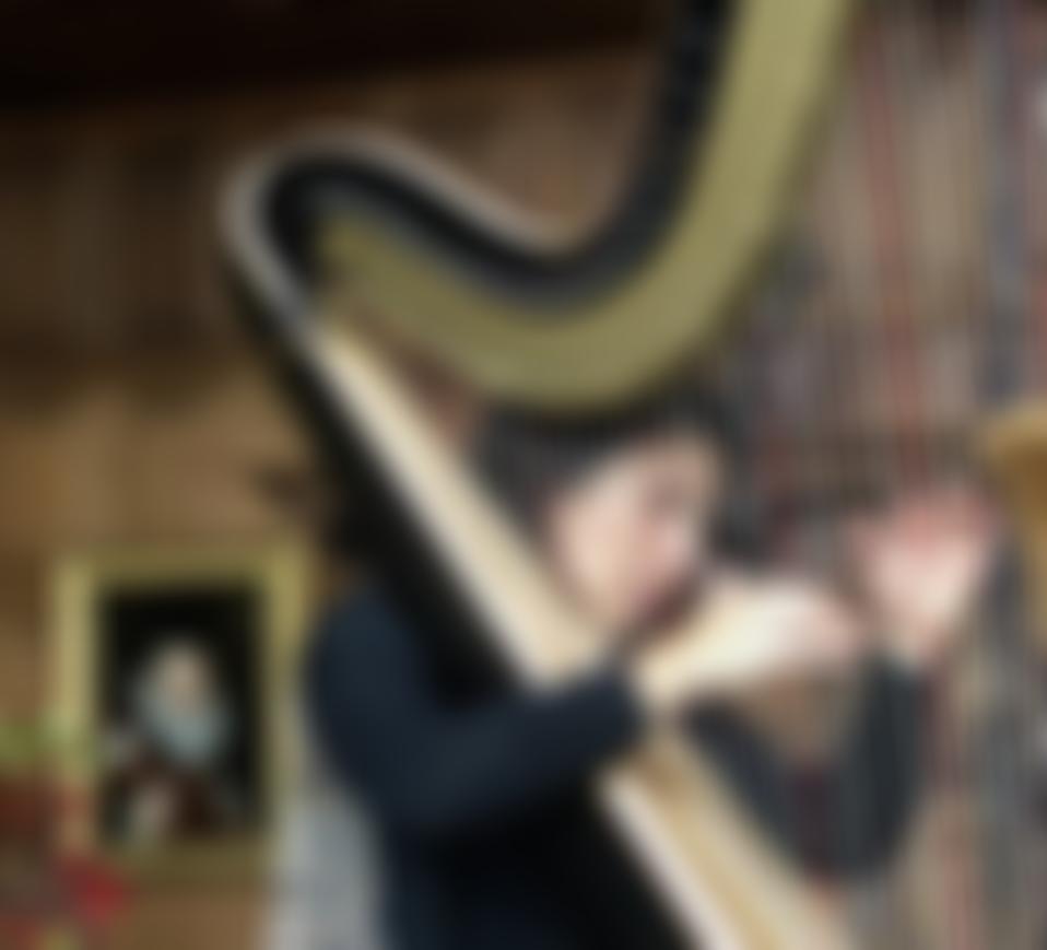 Hatfield House Chamber Music Festival | Charici