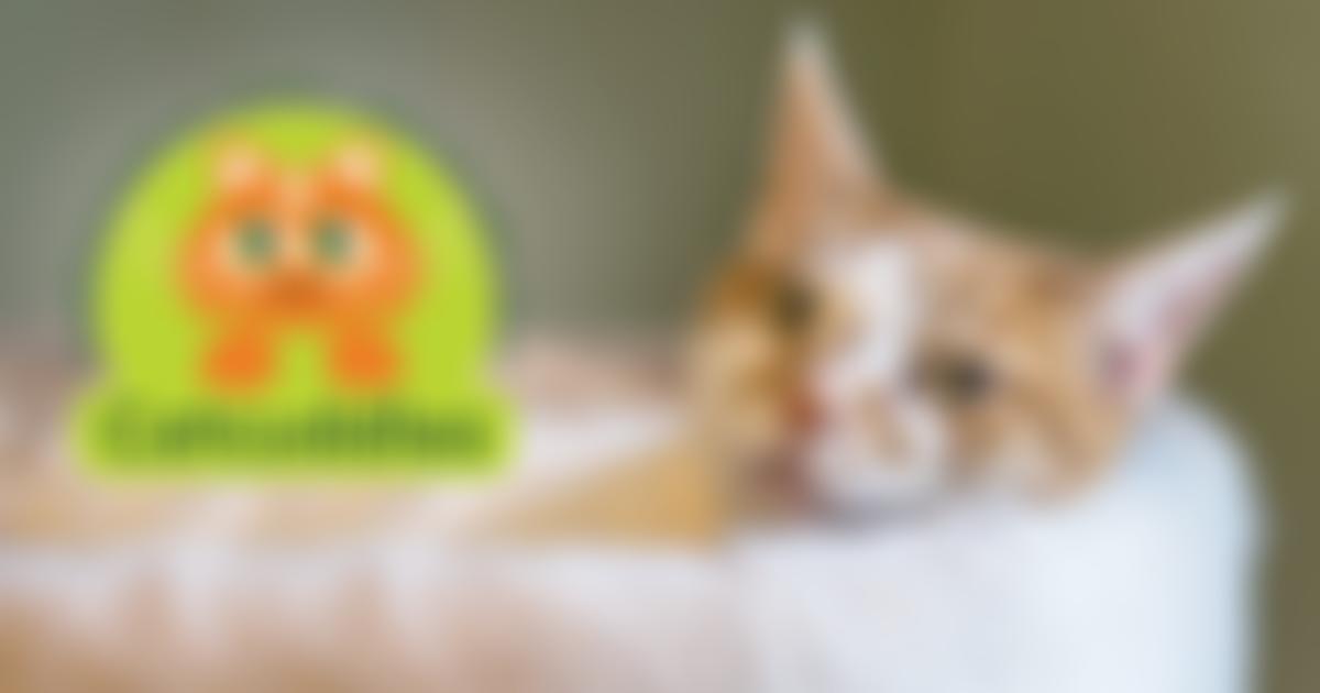 The Catcuddles Sanctuary | Charici