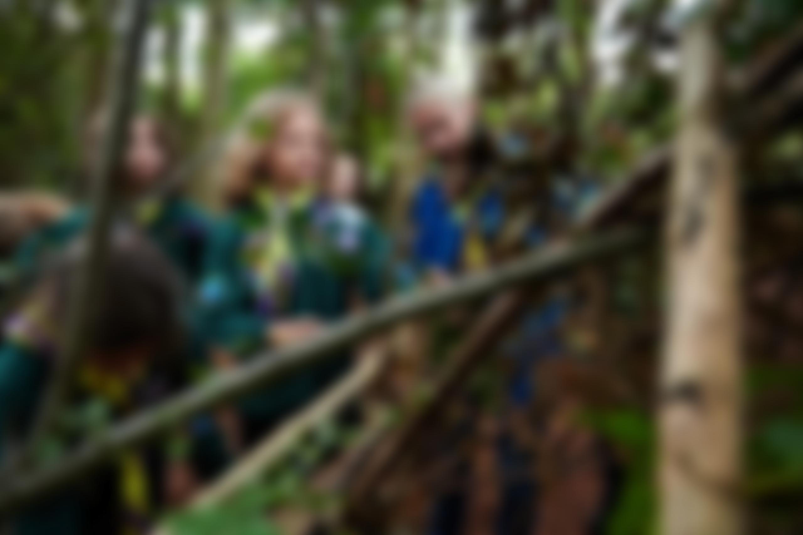 Blacktoft Beacon District Scout Council | Charici