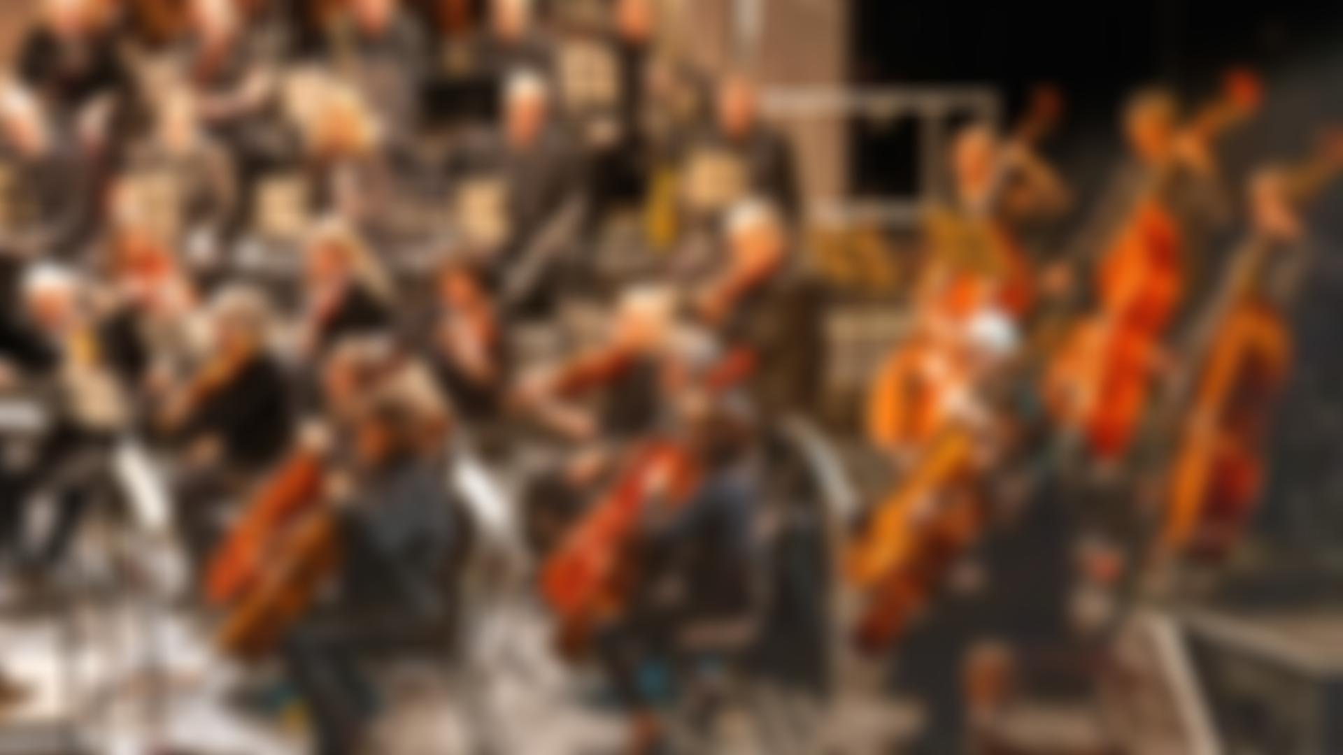 The Bridgewater Sinfonia Trust | Charici