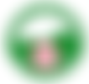 Isle Of Wight Search And Rescue | Charici