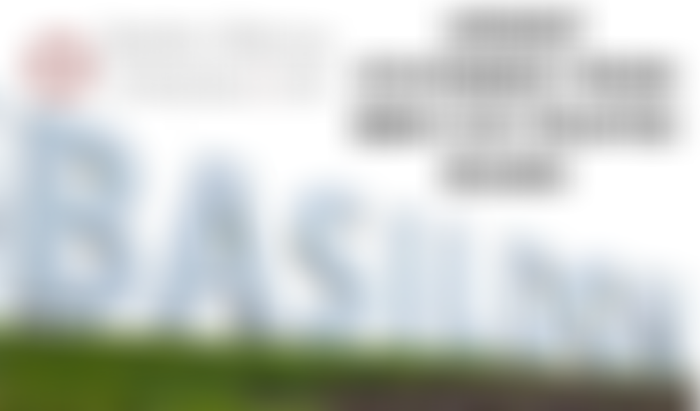 Basildon, Billericay And Wickford Council For Voluntary Service | Charici