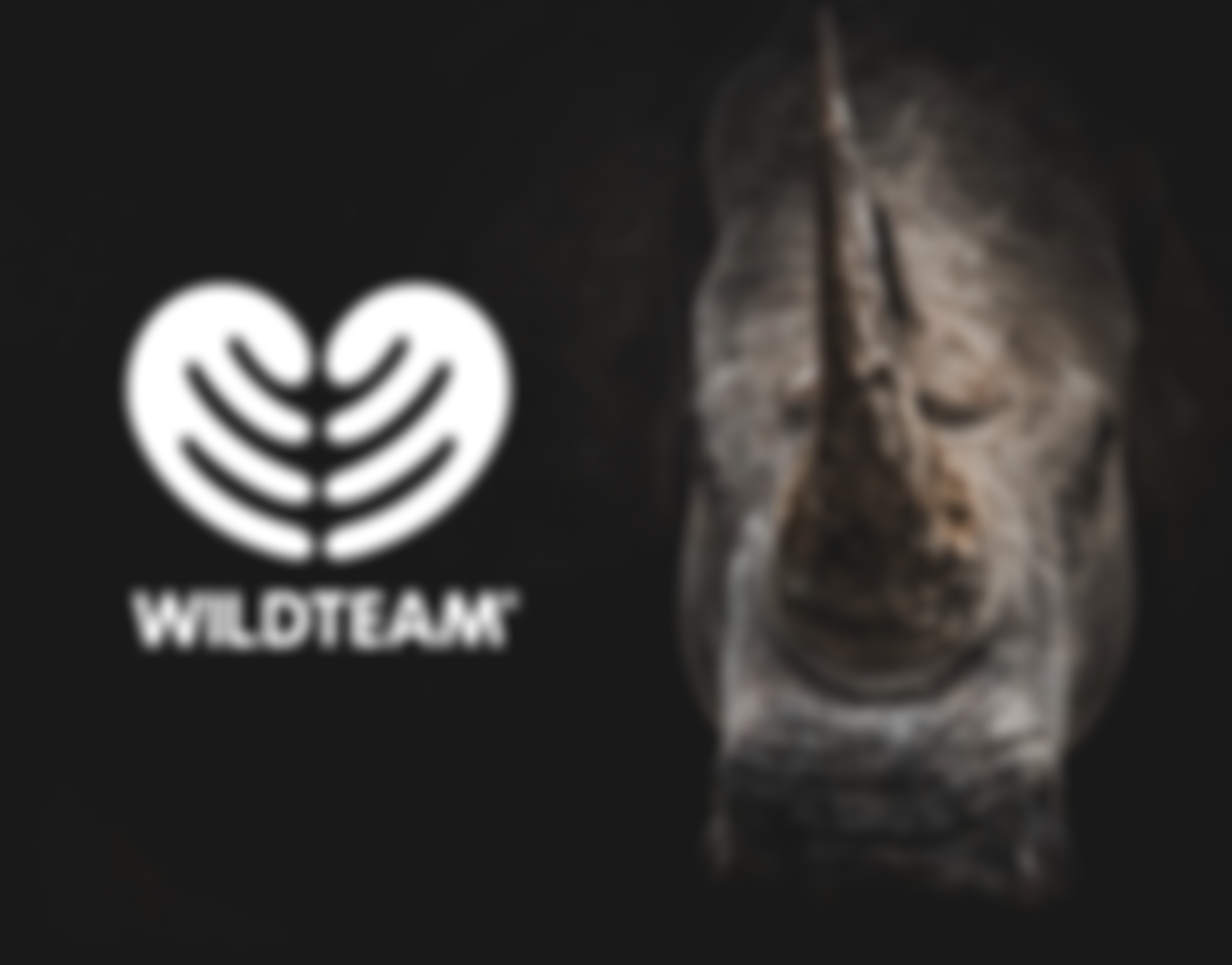Wild Team Conservation | Charici