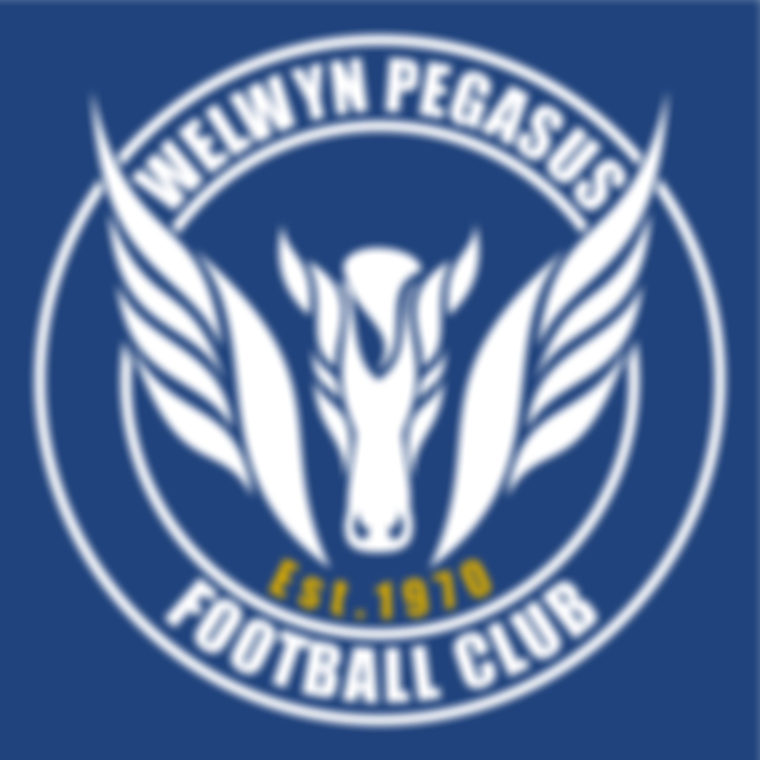 Welwyn Pegasus Football Club | Charici